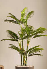 Alamkari India Fabric & Plastic Artificial Areca Palm Plant in Black Pot (150 cm)